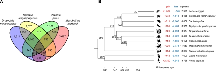 Figure 4.