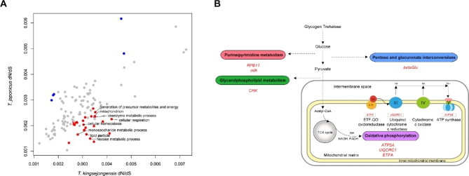 Figure 5.