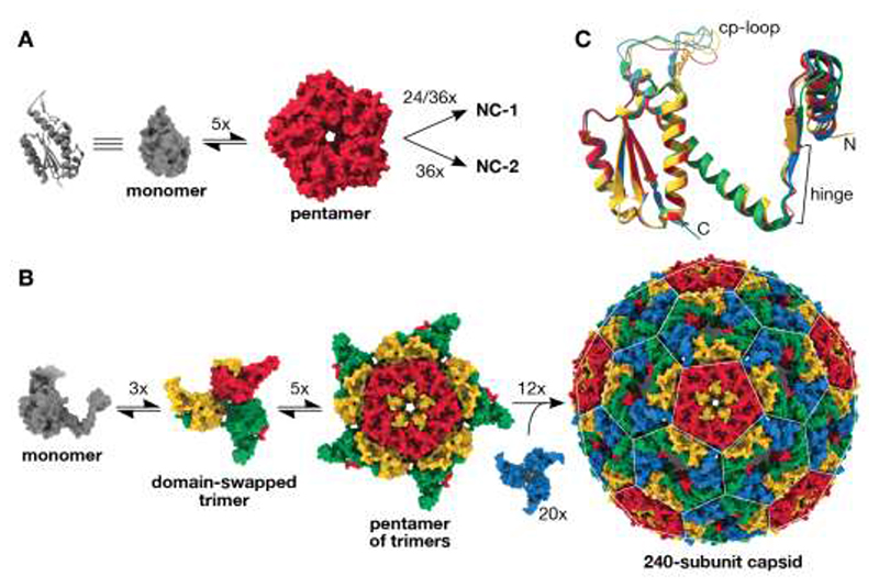 Fig. 3