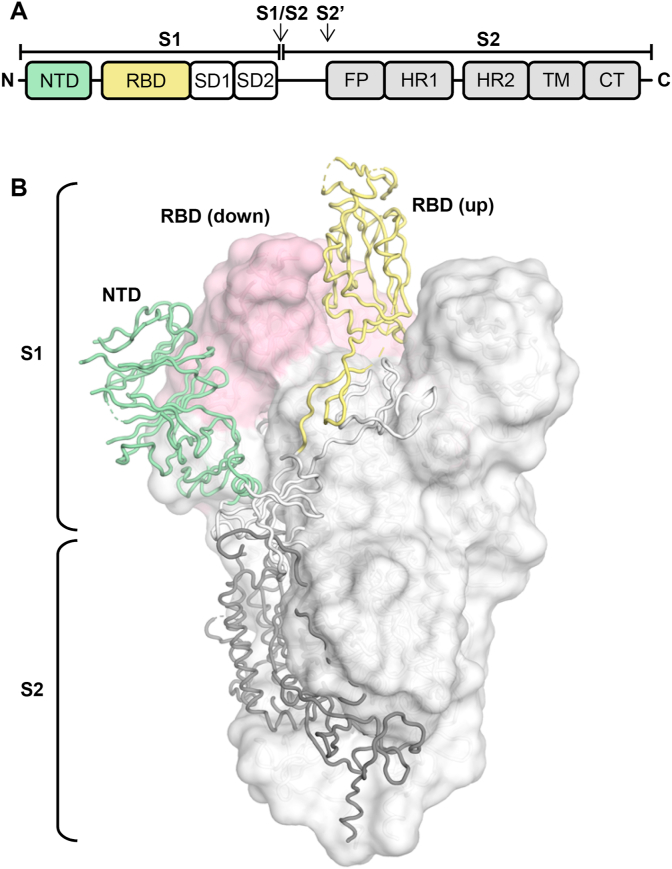 Fig. 1