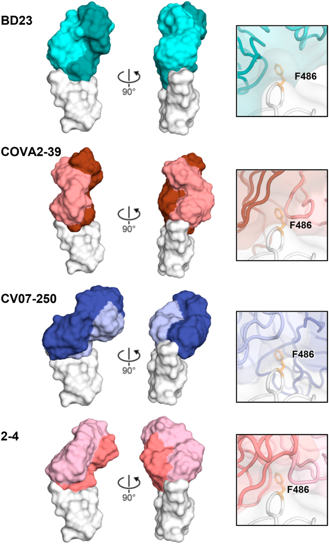 Fig. 4