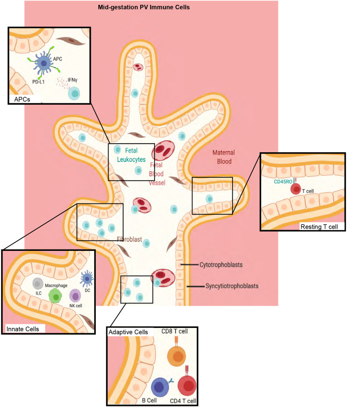 Fig. 7.