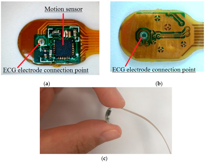 Figure 12