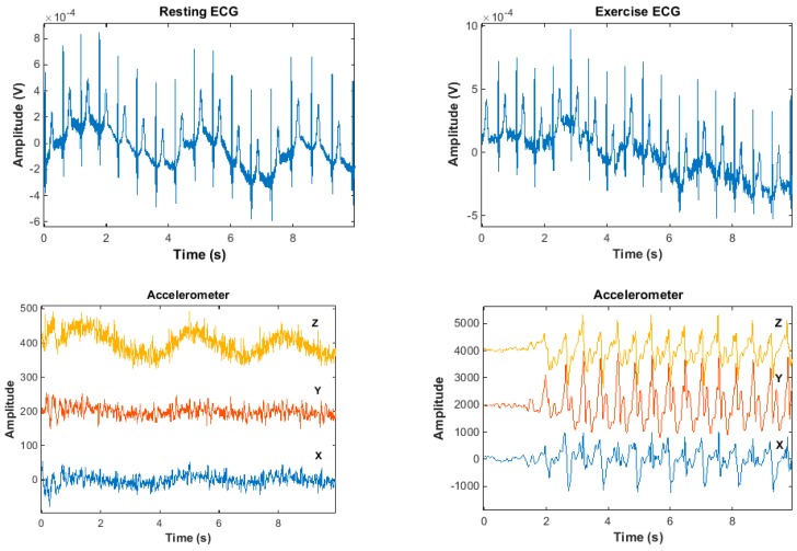 Figure 19