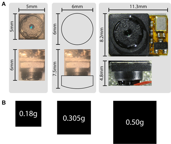 Figure 5