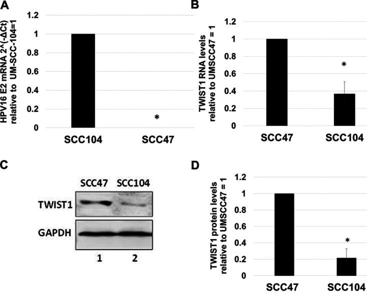 FIG 6