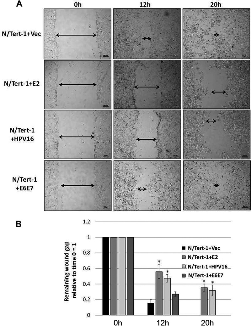 FIG 5