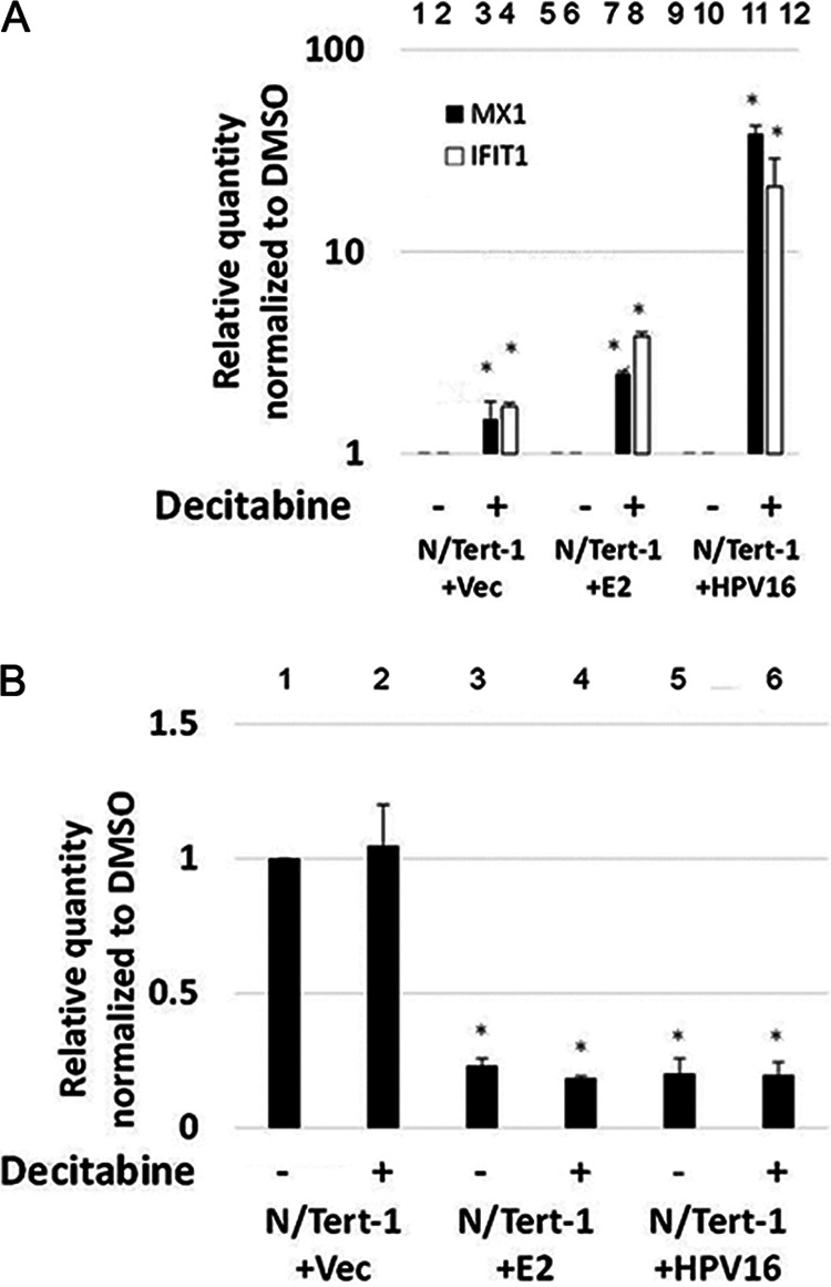 FIG 3