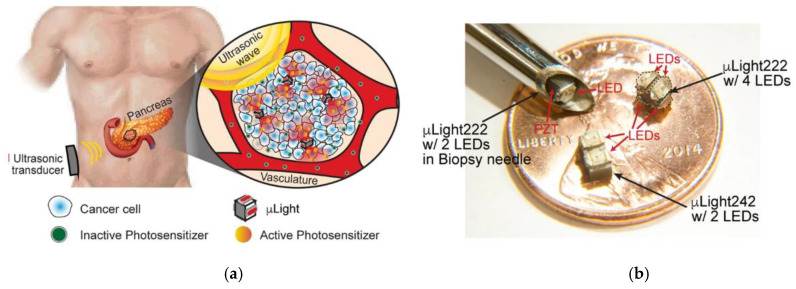 Figure 11