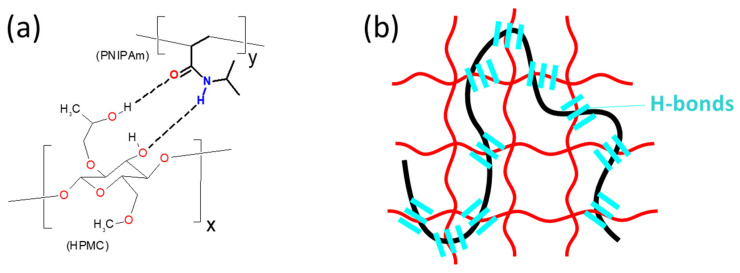 Scheme 4