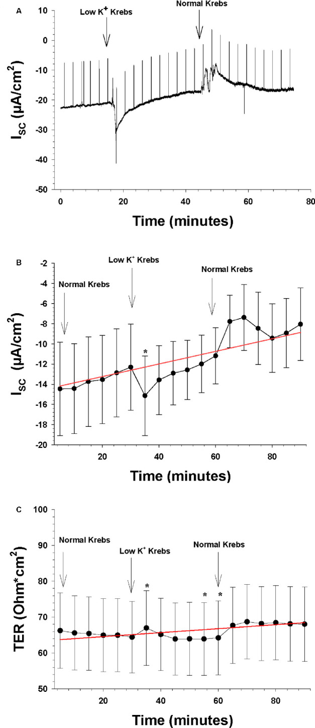 Figure 7.