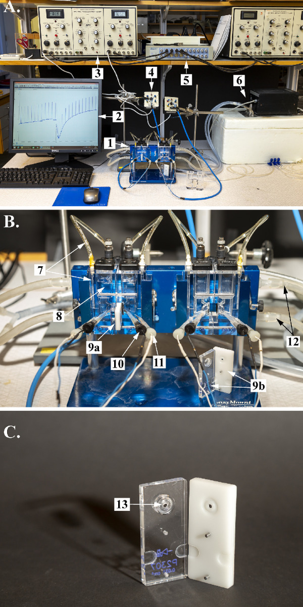 Figure 1.