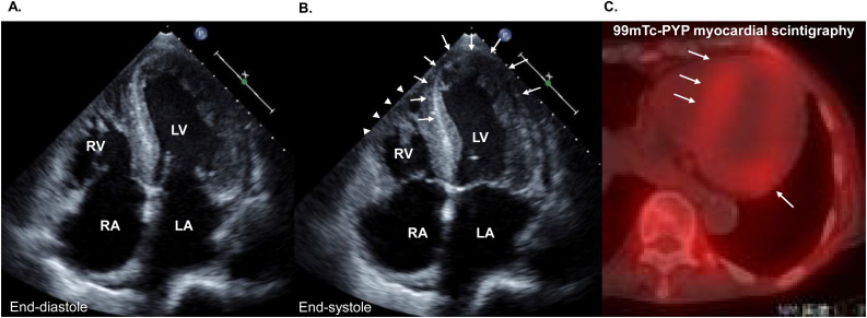 Fig. 8