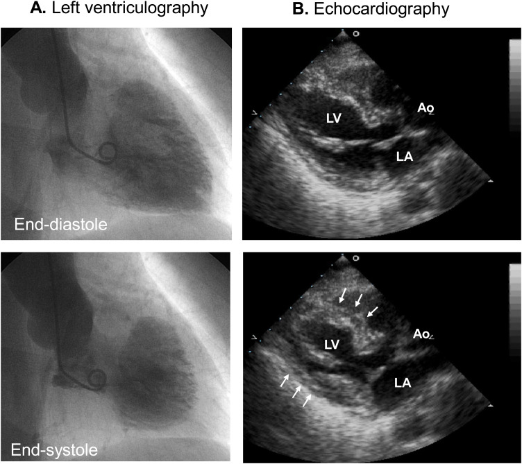 Fig. 4