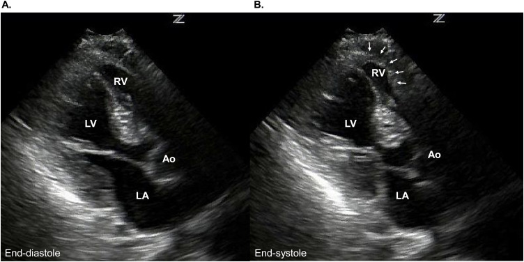 Fig. 5