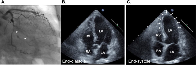 Fig. 7