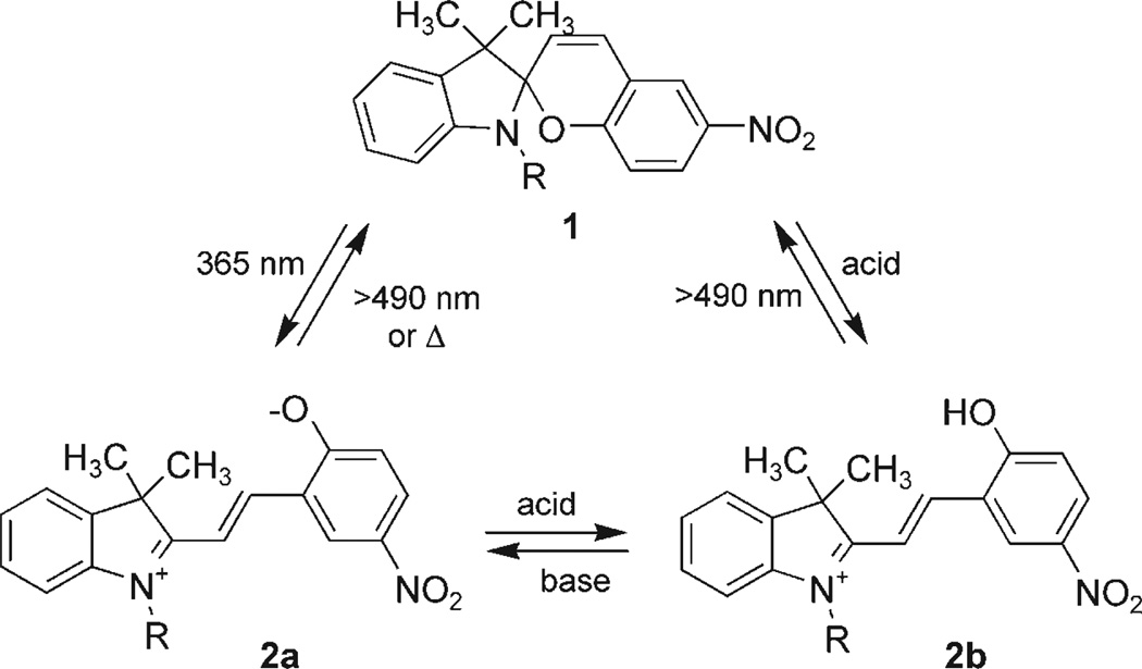 Scheme 1