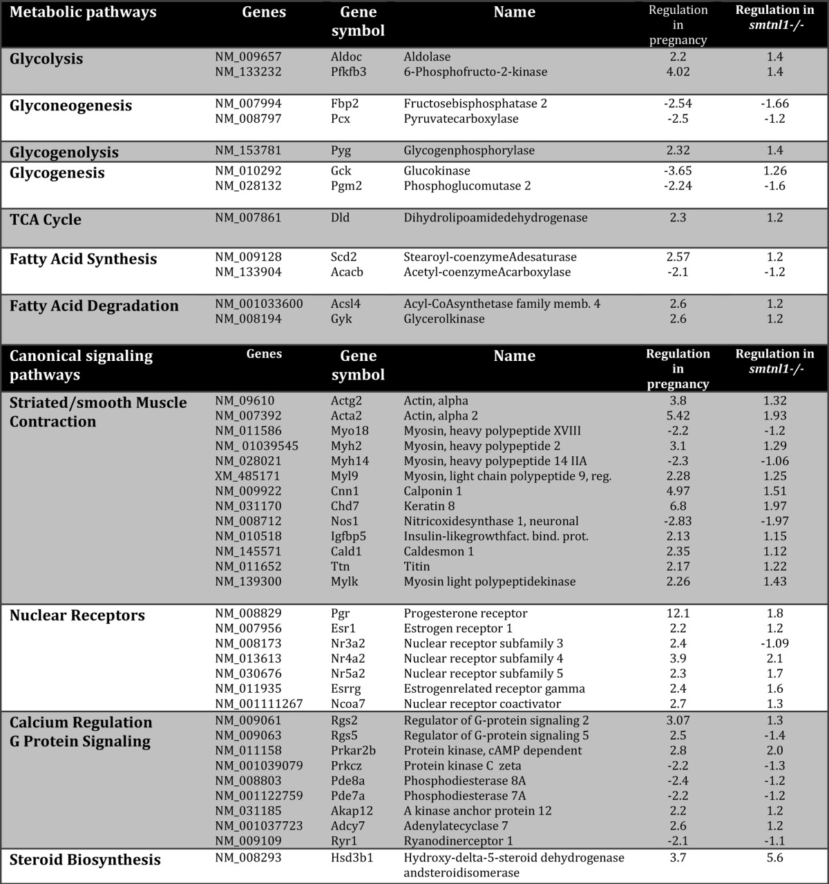 graphic file with name zbc034152160t01a.jpg