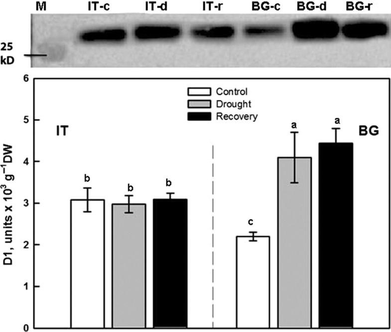 Figure 6: