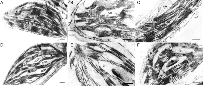 Figure 5: