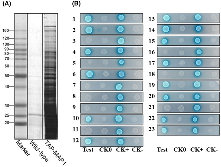 FIGURE 2