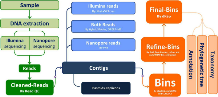 FIGURE 1