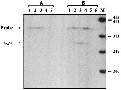 FIG. 5