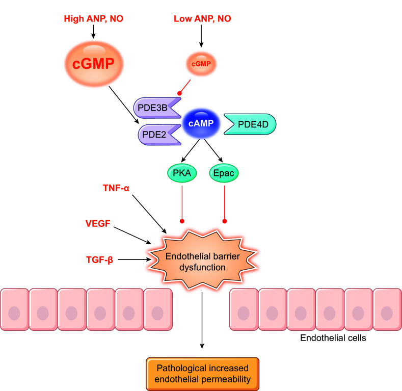 FIGURE 10.