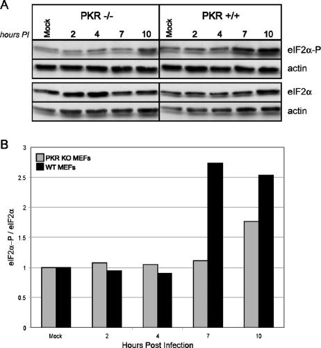 FIG. 7.