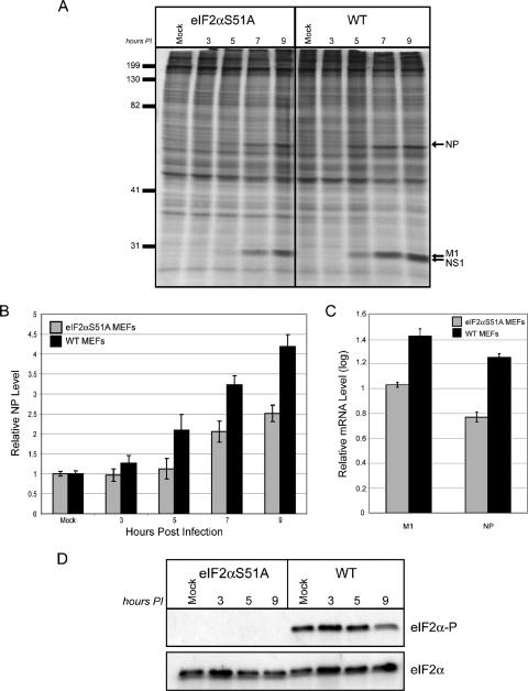 FIG. 8.