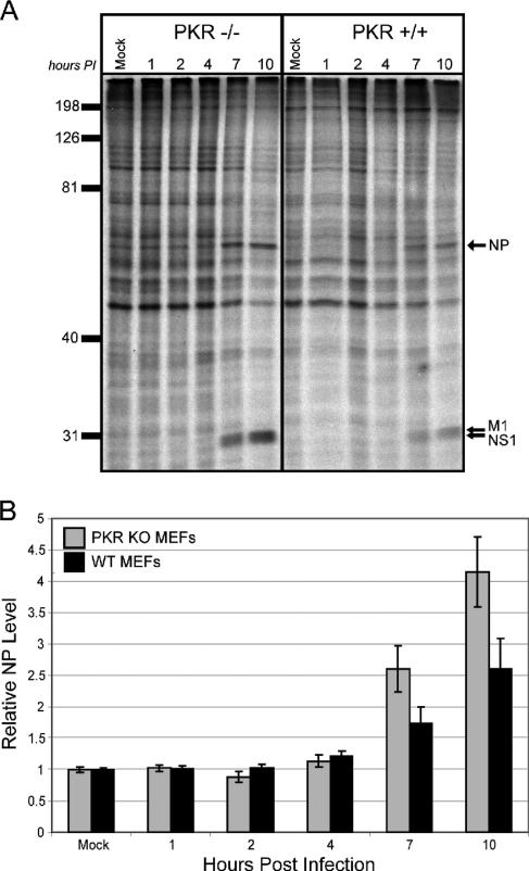 FIG. 6.