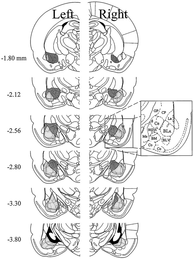 Fig. 8.