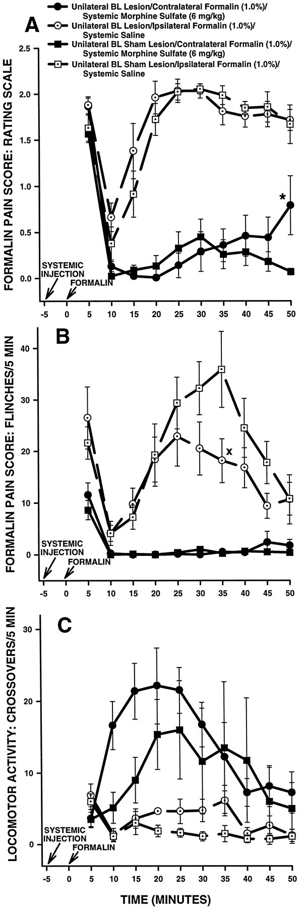 Fig. 10.