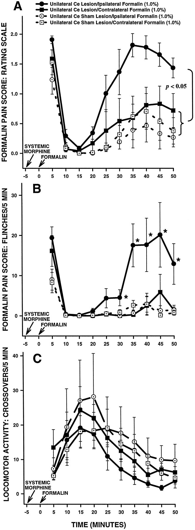 Fig. 11.