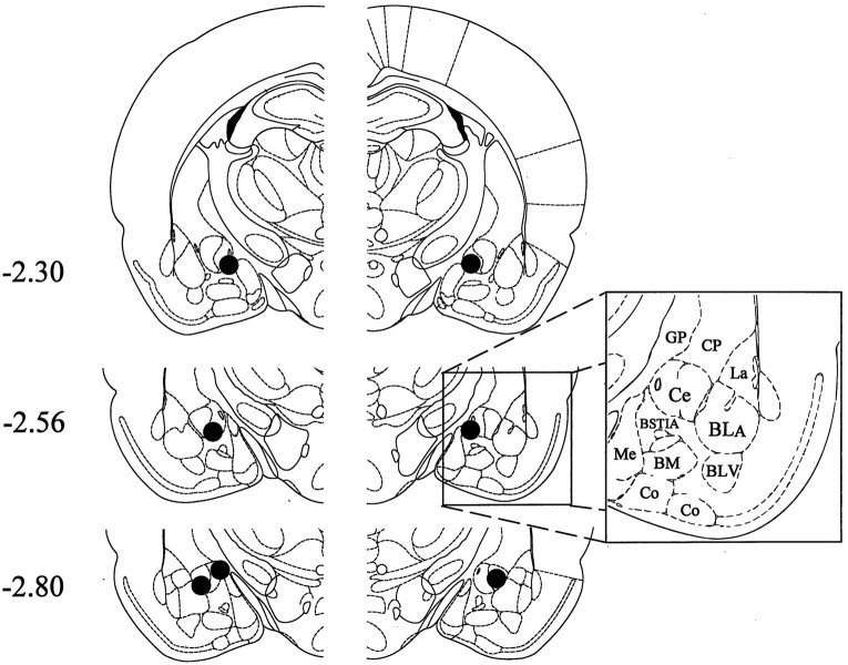 Fig. 14.