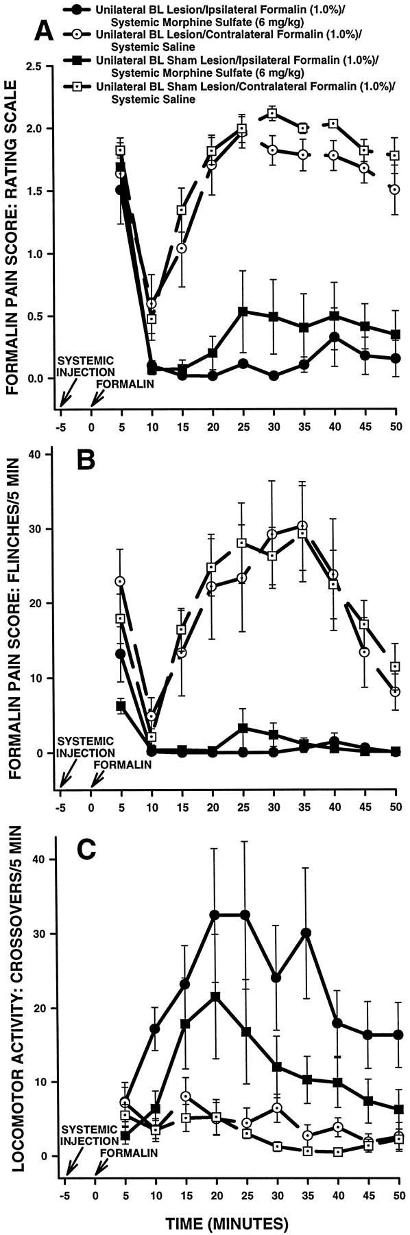 Fig. 9.