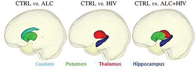 Fig. 11: