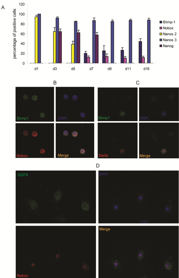 Figure 4 