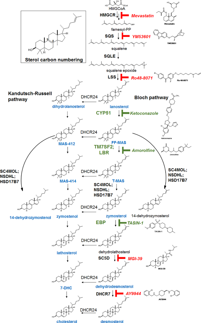 Extended Data Figure 1.