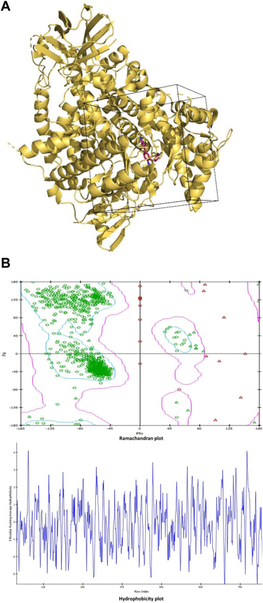 FIGURE 1