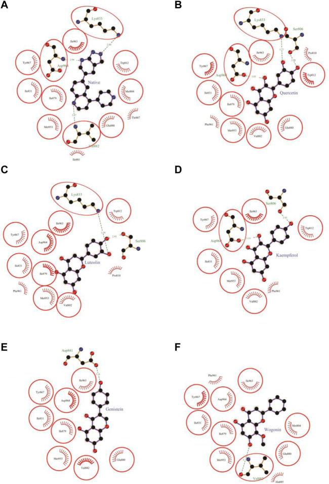 FIGURE 4