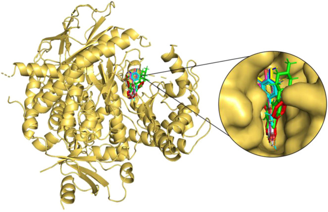 FIGURE 3