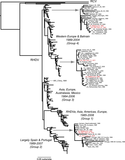 FIG. 1.