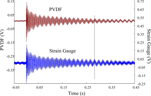 Figure 33.