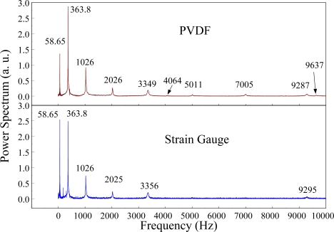 Figure 25.