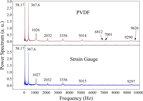 Figure 19.