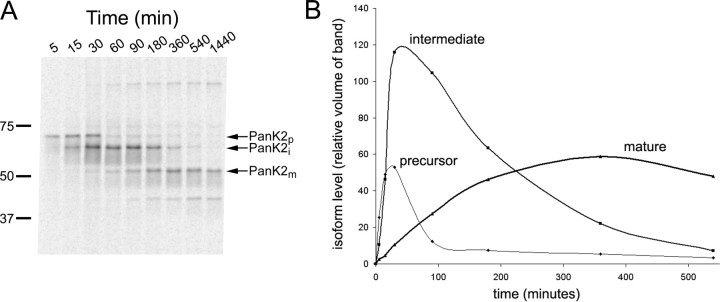  Figure 3. 