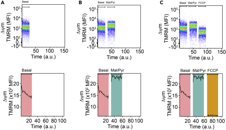 Figure 2