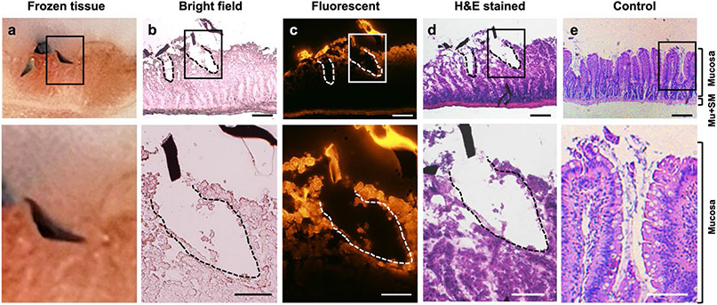 Figure 4: