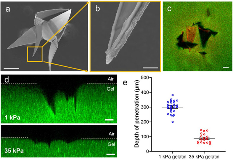 Figure 2: